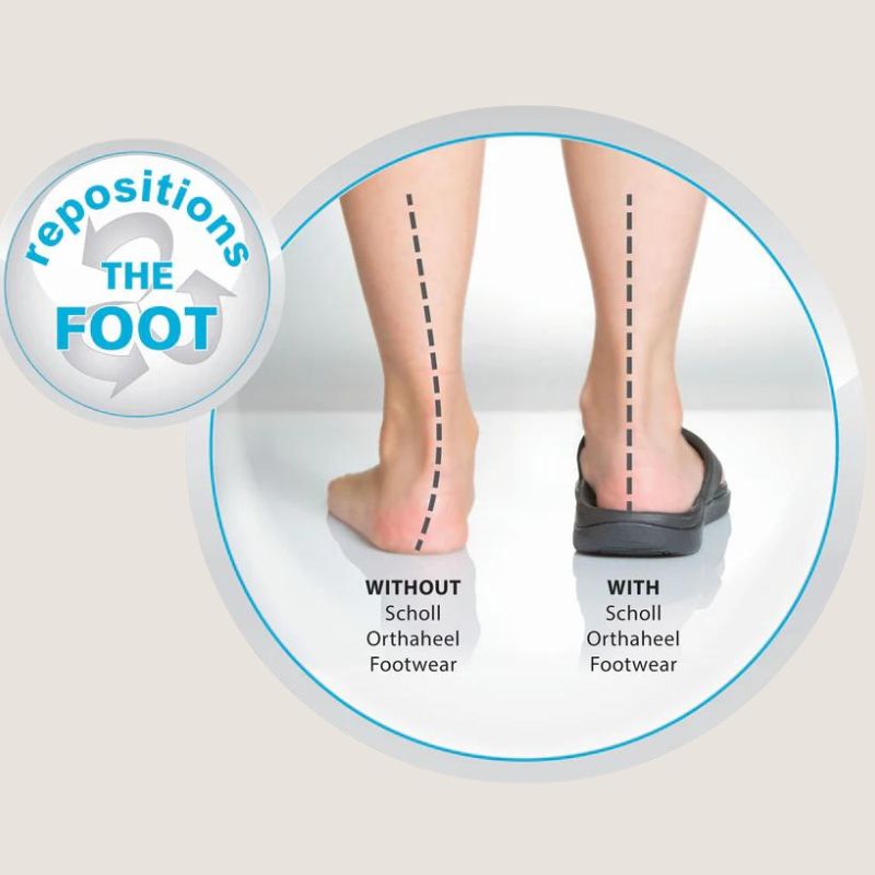 Scholl Orthaheel Wave ll Thong