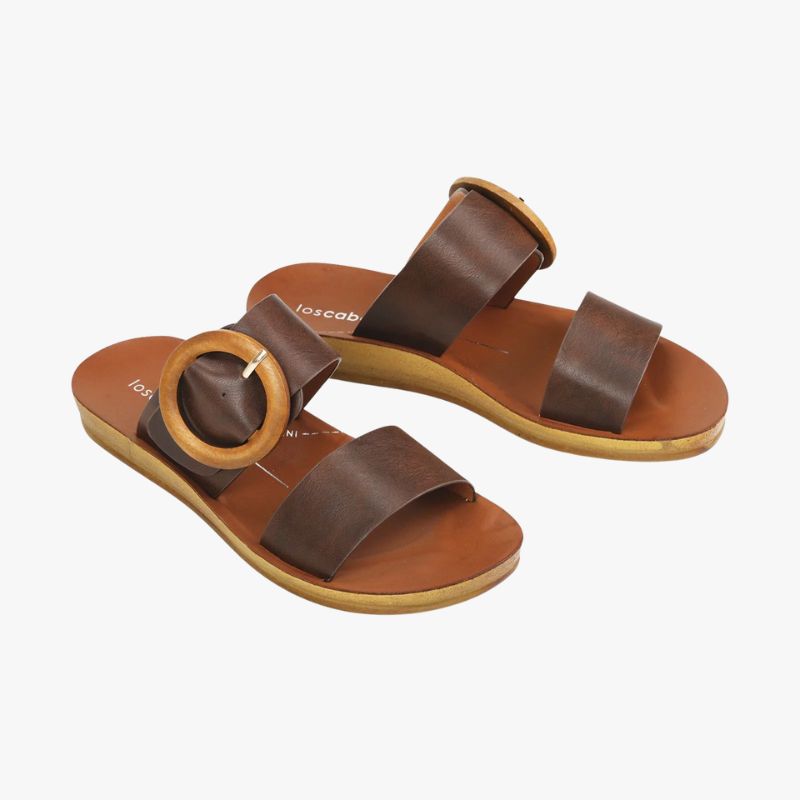 Los Cabos Damani Slide