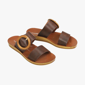 Los Cabos Damani Slide