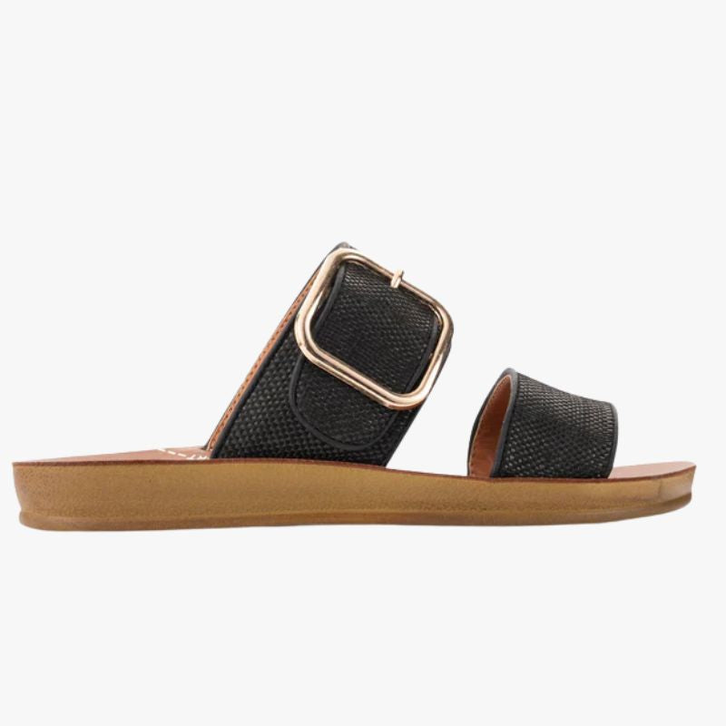 Los Cabos Doti Slide