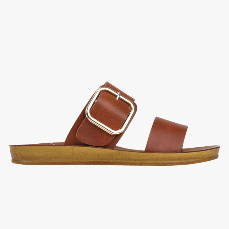 Los Cabos Doti Slide