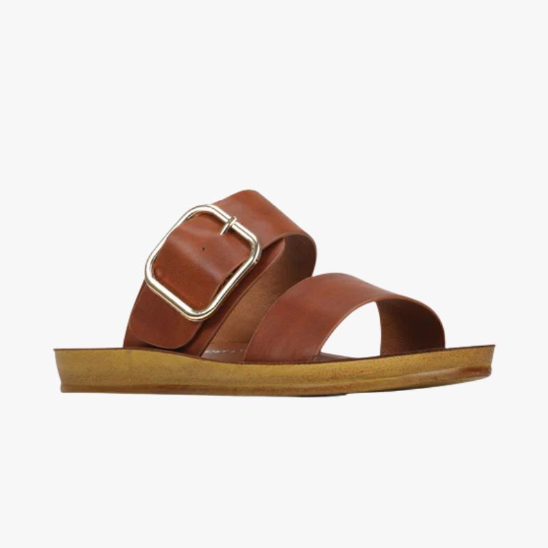 Los Cabos Doti Slide